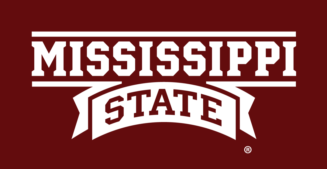 Mississippi State Bulldogs 2009-Pres Wordmark Logo v2 iron on transfers for T-shirts